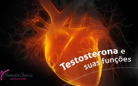 A testosterona e suas funções