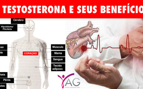 A testosterona e seus benefícios